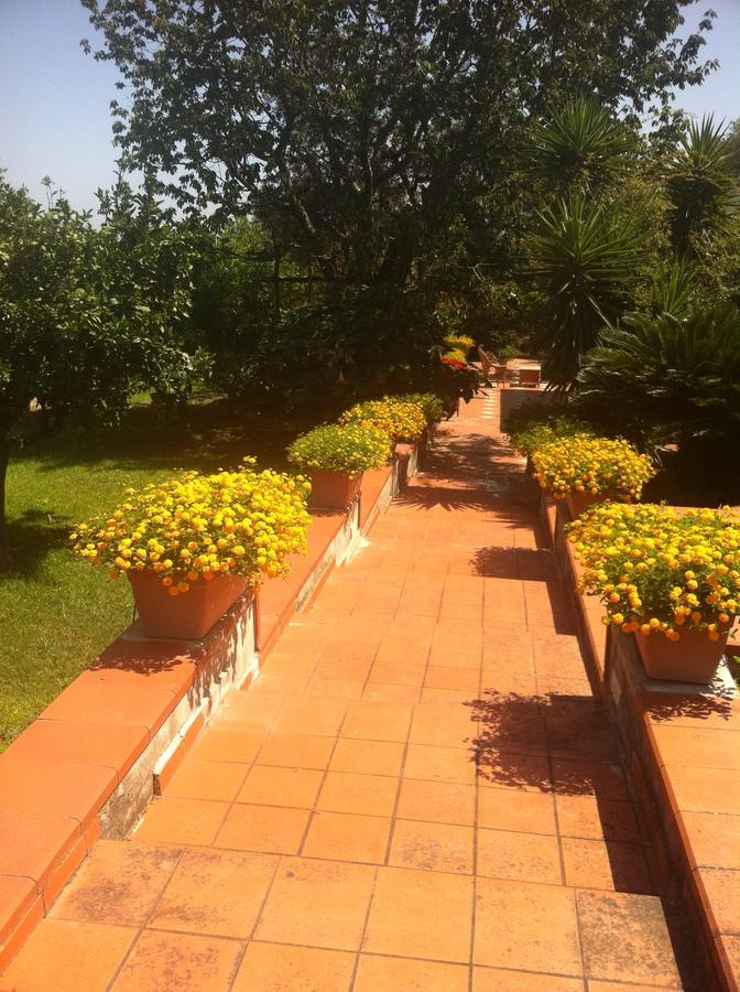 B&B Villa Irma Península Sorrentina Exterior foto